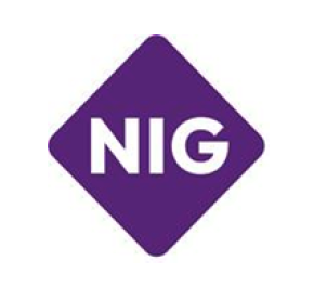 NIG Insurance logo